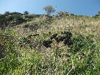 Acqua_del_Ferro - Santa_Caterina_20100124 019.jpg